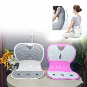 Back Support Chair 2 Pcs